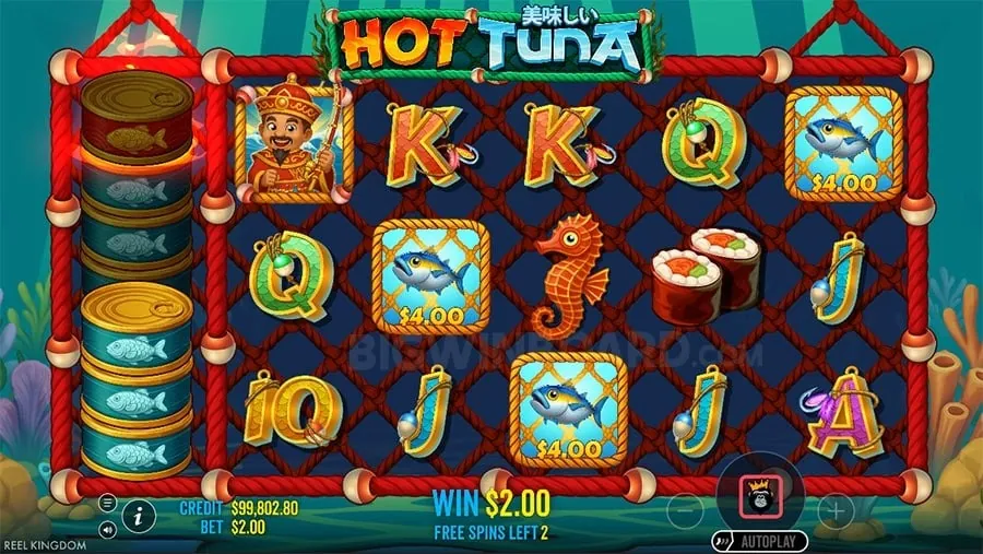 bet100 Mobile App on Smartphone
