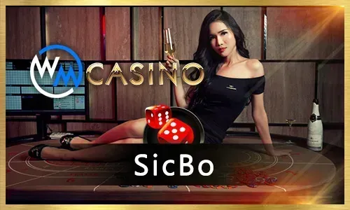 Dragon Tiger Live: Fast-Paced Fun at bet100 Live Casino
